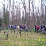 20110306_012