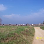 20110306_020