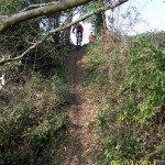 20110306_023